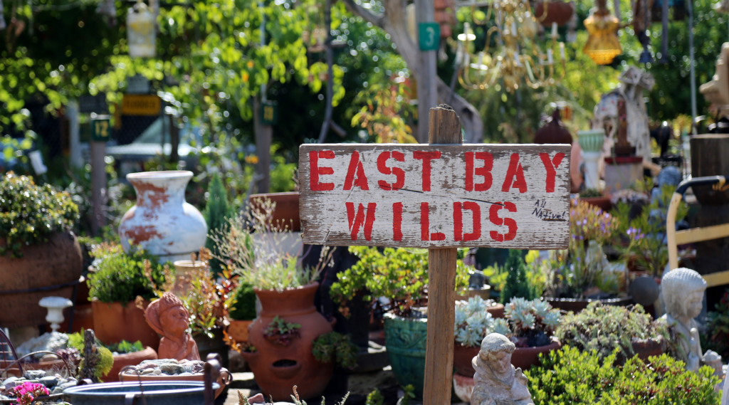 A picture of the nursery, with a sign in the foreground saying, "East Bay Wilds"