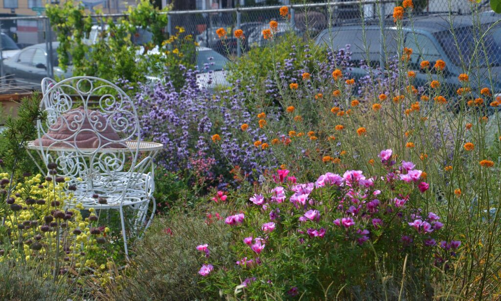 An urban back yard with an antique chair surrounded by flowers