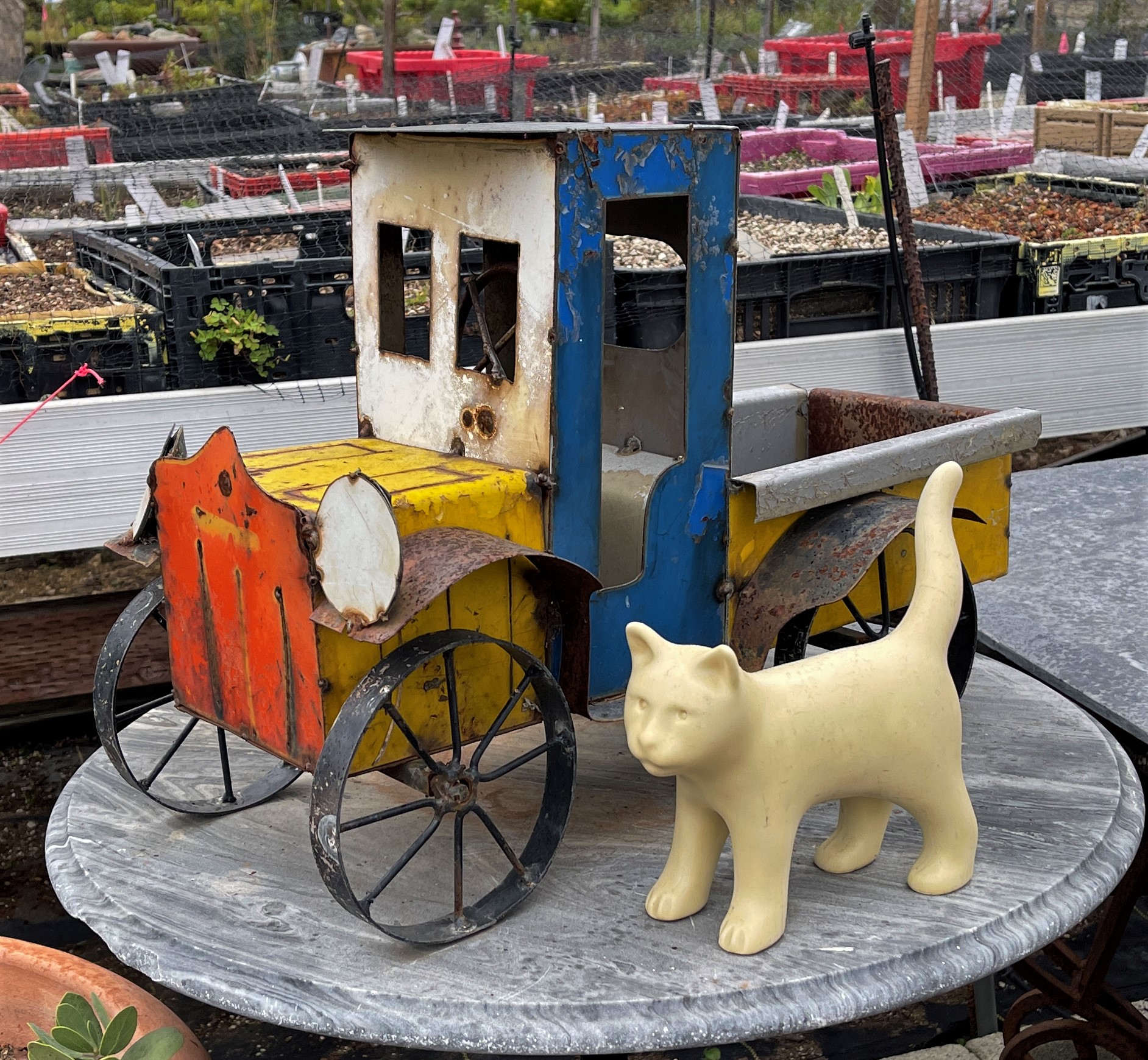 A few photos from around the nursery. East Bay Wilds