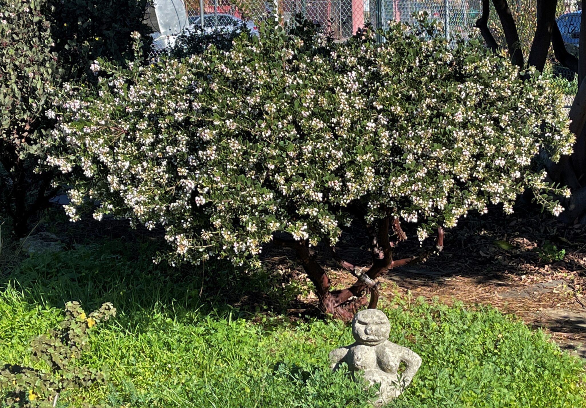 A few photos from around the nursery. East Bay Wilds